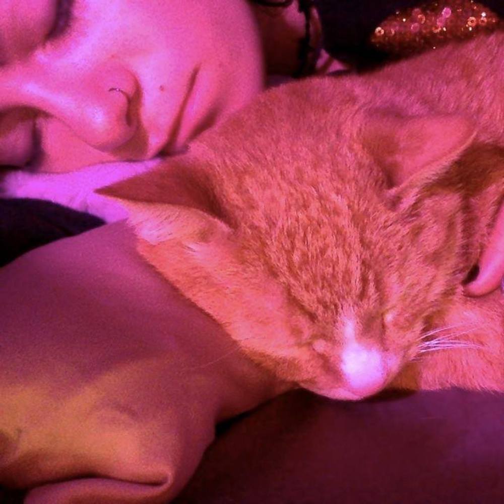 Meet your Posher, Sophie